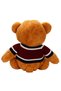 Sweatered Plush Bear |   0+ Years Old |   42 cm |   Sleeping Companion and Emotional Confidence - 5