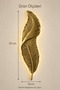 Gold Feather Model Led Sconce 7W 220V Electric Wall Lamp Modern Decorative Lighting Living Room Bedroom Corridor Entrance Hall Living Room Wall Sconce Indoor Decorative Led Lighting - 3