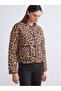 Alita City Lcw Vision Brown Oval Collar Leopard Print Women's Coat with a Difference.
