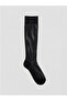 Black 15 Denier Women's Knee High Socks 2-Pack - 5