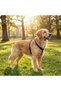 Genuine Leather Black Dog Harness, Durable Luxury Pet Vest - 6
