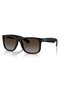 Rayban Rb 4165 622/t5 55 Men's Sunglasses
