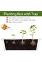 3 Pack White Plastic Window Boxes - Rectangular Planters for Vegetables and Flowers with Tray, Ideal - 3