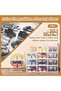 Easy Assembly Transparent Door Shoe Storage Boxes (8 Pcs) - Stackable Sneaker Organizer, Space-Savin - 5