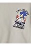 Gray Sonic Printed Boys' Tracksuit Set - 3