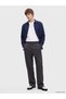 Anthracite Regular Fit Pleated Men's Trousers