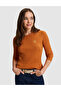 Orange Slim Fit Basic Sweater 50331465-Vr051