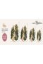 Eta Nature Patterned Modern Woven Base Decorative Carpet Eta4205 - 4