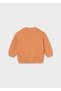 Baby Boy Animal Printed Sweatshirt 2418 - 5