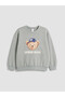 Crew neck boys' sweatshirt 2-pack - 5