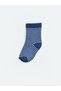 Quality Parts from Çelebi Store Dinosaur Embroidered Baby Boy Socks 5-Piece Set - 6