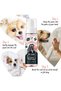 Papaya & Coconut No Rinse Dog Shampoo And Conditioner 200ml (6.8 Fl Oz) - 2