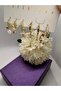 Zircon Stone Flower Garden Model 6-Piece Steel Earring Set - 2