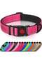 Reflective Dog Collar with Soft Neoprene Padding, Metal D-Ring and Adjustable Length, Premium Nylon Material (Color: Hot Pink)
