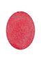 Shell & Pearl Dual Color Moisturizing Lip Balm with Sea Shell Design - 3