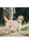 Reflective Dog Collar with Soft Neoprene Padding, Metal D-Ring and Adjustable Length, Premium Nylon Material (Color: Turquoise) - 5