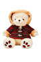 Plaid Hooded Plush Teddy Bear 50 cm - 2