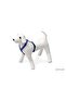 Spt-Gld Dog Chest Harness m (171235) Blue 45-70X2 - 2