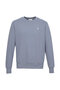 T-Pulse Male Co Regular Crew Neck Sweatshirt - 2
