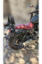 Arora CP250 Sissy Bar