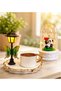Premium Turkish Coffee Cup and Led Lighted Glass Jar (with Panda) Set with Led Street Lamp