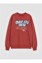 Lcw kids printed boy's sweatshirt - 4
