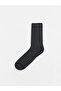 Timeless Clothing & Timeless Choices Men's Socks 7-Pack - 2