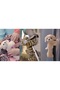 Huggers Wolf Plush Toy, Slap Bracelet, Stuffed Animal, Kids Toys, 8 Inches - 2