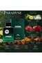 Paradyne Extrait De Parfum 100ml for Men | Bergamot & Musk Fragrance | Geranium, Rose, Benzoin & Guaiac Wood | Warm Woody Ambery Scent - 2