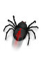 RC Climbing Black Widow - 5