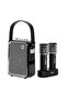 SongBird HQ 2 Portable Bluetooth Karaoke Speaker (Black)