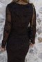 Bitter Brown Velvet Glitter Embroidered Tulle Dress - 5