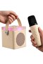Mini Bluetooth Speaker A9 Portable Karaoke Wireless Speaker with Microphone Led Interactive Light - 2