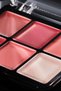 Blur Balm Blush Palette 010 Blush Blindness 6 Colors, Highly Pigmented, Vegan, 6 g - 010 Blush Blindnes - 3