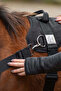 Foalmaster Thai Training Set with Handle - Black, Thai - 5