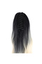 Buckle Protein Fiber Sen Horse Tail / Black Platinum Ombreli - 4
