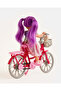 Assorted Doll Bike Set - 2