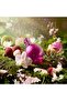 Fantasy Perfume for Women Eau De Parfum 100ML - 5
