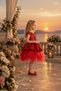 Sequined Robe, Stone Detailing, Layered Tulle Skirt, Satin Bow, Crown Accessory, Girls' Evening Dress for Ages 4-8, Birthday, Special Occasion - 2