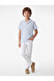 Pocket Detailed Loose Fit Short Sleeve Collared Oversize Striped Poplin Shirt