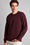Cotton Regular Fit Basic Sweatshirt - 3