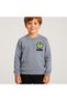 Unisex Boys/Girls Printed Crew Neck 100% Cotton Sweatshirt
