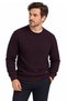 Men's Crew Neck Geometric Pattern Sweater