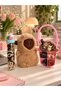 Set of 3 Capybara Keychain Buckles & Rubber Buckle with Teddy Bear & Gift Buckle Box