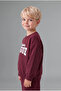 H8483A5Br115 Burgundy 100% Cotton Crew Neck Printed Sweatshirt Top and Elastic Waist Sweatpants - 3