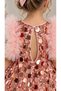 Girl's Dress Baby Girl Sequin Embroidered Evening Dress Party Prom Dress Ruffle Sleeve Detailed Evening Dress - 7
