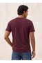 Basic Cotton Crew Neck T-shirt - 3