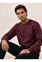 Sweatshirt - 5