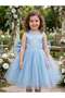 Special Design Girls' Princess Dress with Big Bow in Satin and Tulle Blend