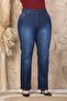 Pipe Leg Comfortable Fit Lycra Women's Plus Size Jeans